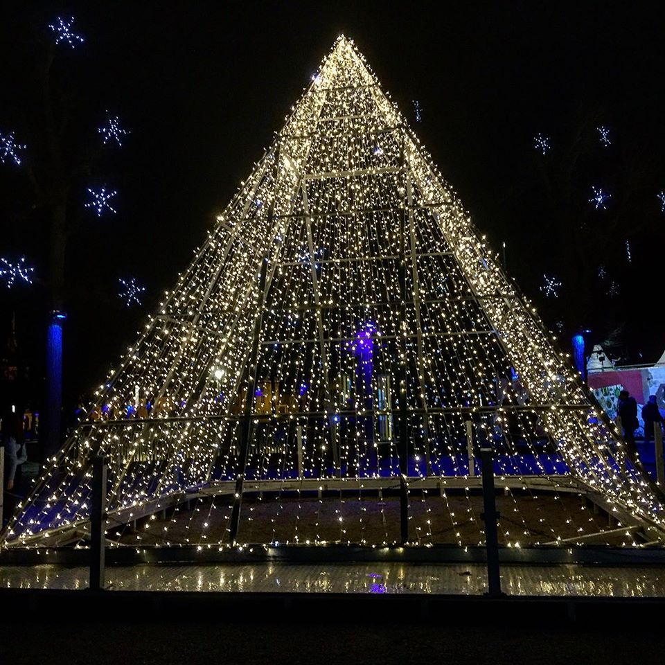 Wir wünschen Dir einen wunderschönen vierten Advent🌲